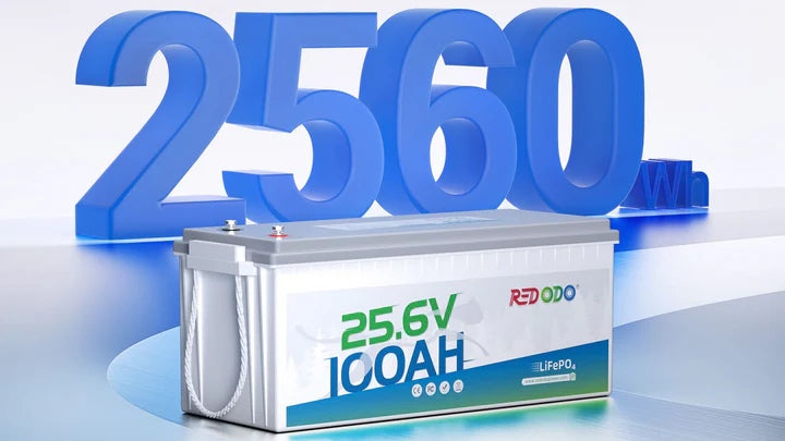 12V 100Ah Battery vs 24V 100Ah Battery