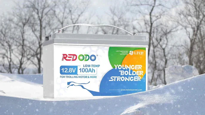 5 Best Battery for Cold Weather