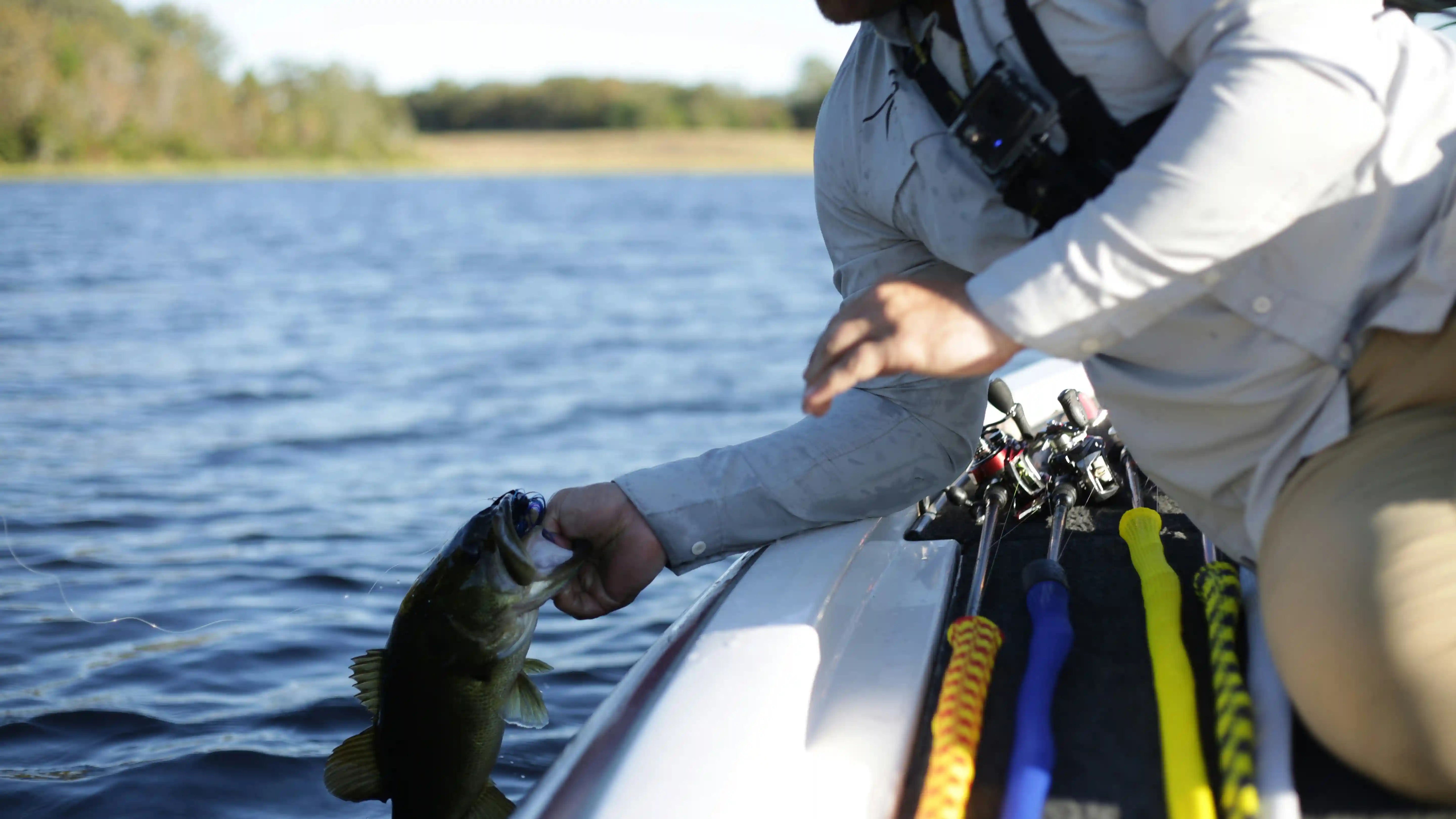 Spring Bass Fishing: Tips, Gear & Power Setup