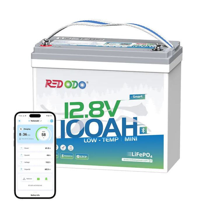 Redodo 12V 100Ah small Bluetooth battery