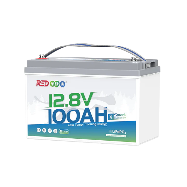 12V 100Ah Group31 BT Like New