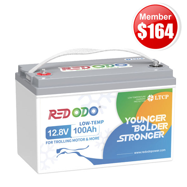 12v 100ah trolling motor battery black friday sale