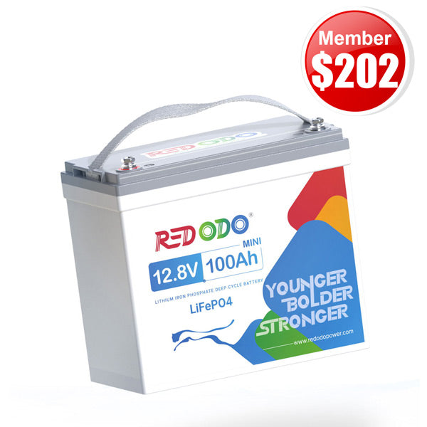 small 12v 100ah battery