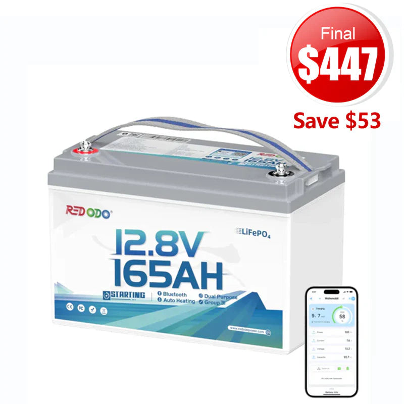 🔥【Champion's Choice】Redodo 12V 165Ah 1200CCA Group 31 Dual-Purpose Lithium Bluetooth Battery | Fish 3-4 Days, Engineered for Ultimate Performance