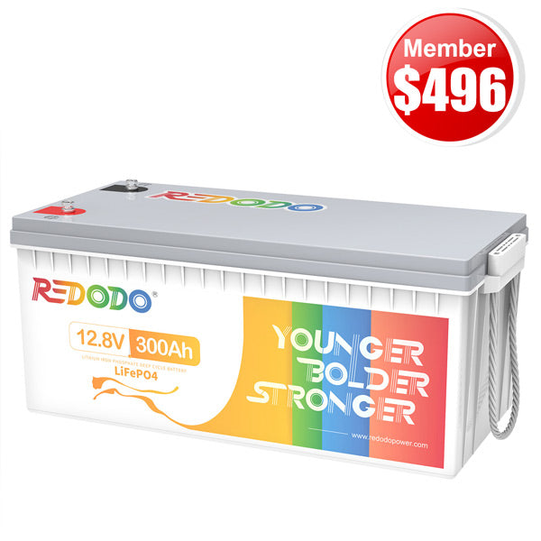 best 12v 300 amp hour battery