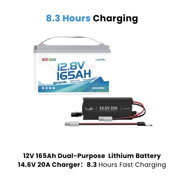 Redodo 12V 165Ah 1200 CCA Group 31 Dual-Purpose Lithium Marine Battery | Starting • Trolling • Electronics— All from One