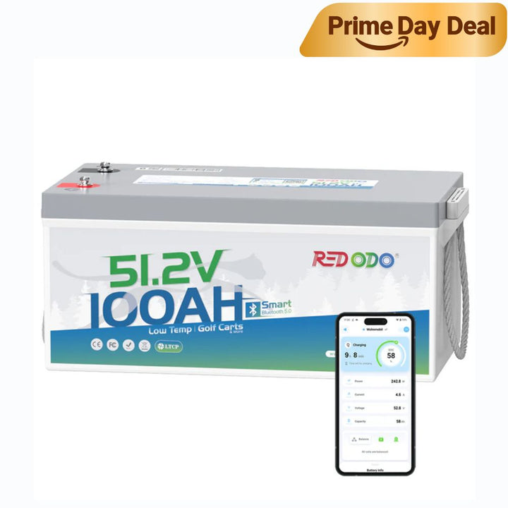 Redodo 48V 100Ah Golf Cart Lithium Bluetooth Battery