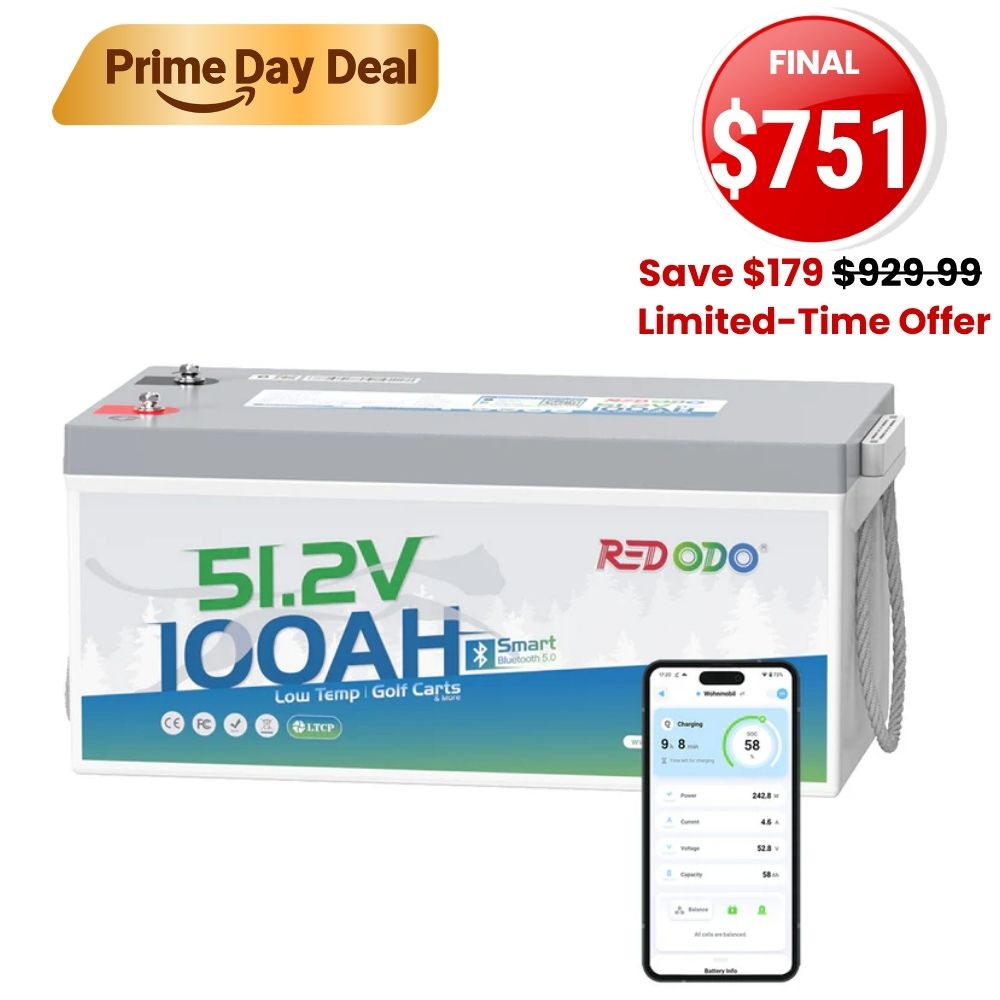 🔥【SAVE $179】Redodo 48V(51.2V) 100Ah LiFePO4 Lithium Solar Battery