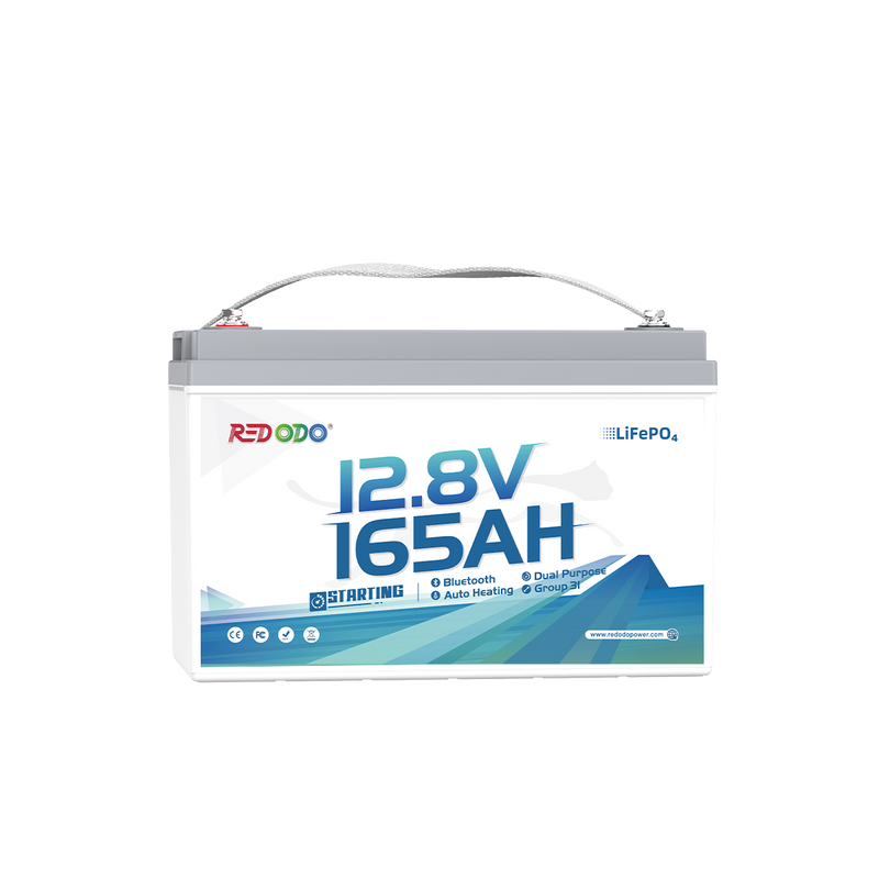 12V 165Ah Dual-Purpose 