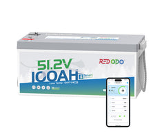 51.2V 100Ah Bluetooth Battery