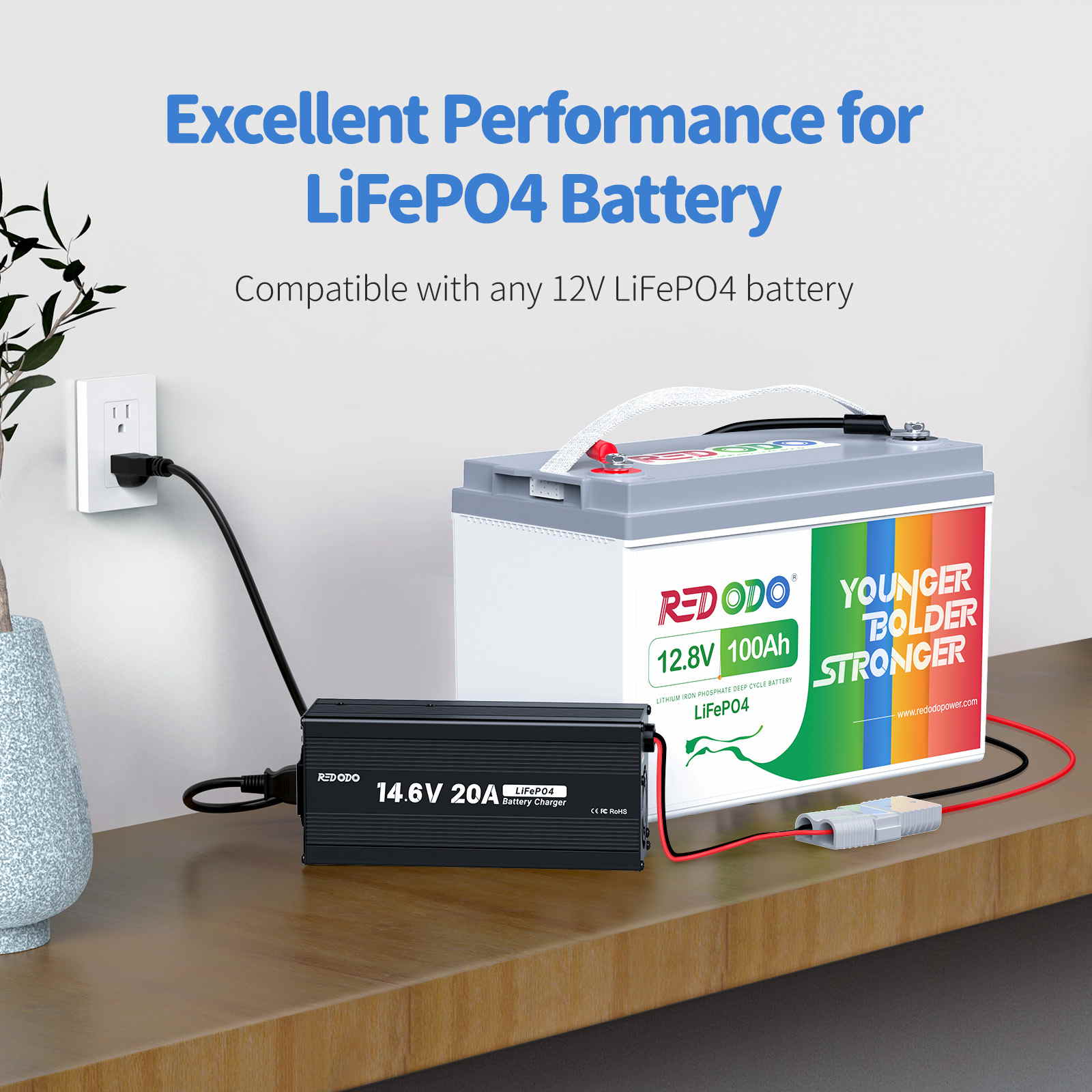 12v lifepo4 battery charger