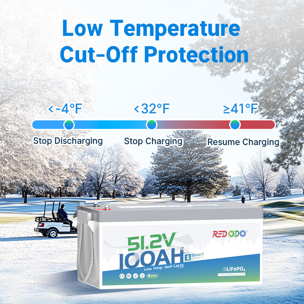 Redodo 48V 100Ah Golf Cart Lithium Battery Conversion Kit with low-temp protection