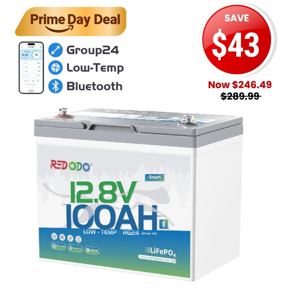 🔥【SAVE $43】Redodo 12V 100Ah Group 24 Bluetooth LiFePO4 Battery | Real-Time Battery Monitoring | For RV, Marine, Solar