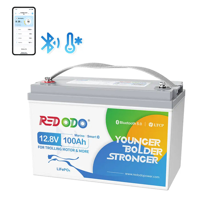 Redodo Group 31 bluetooth battery