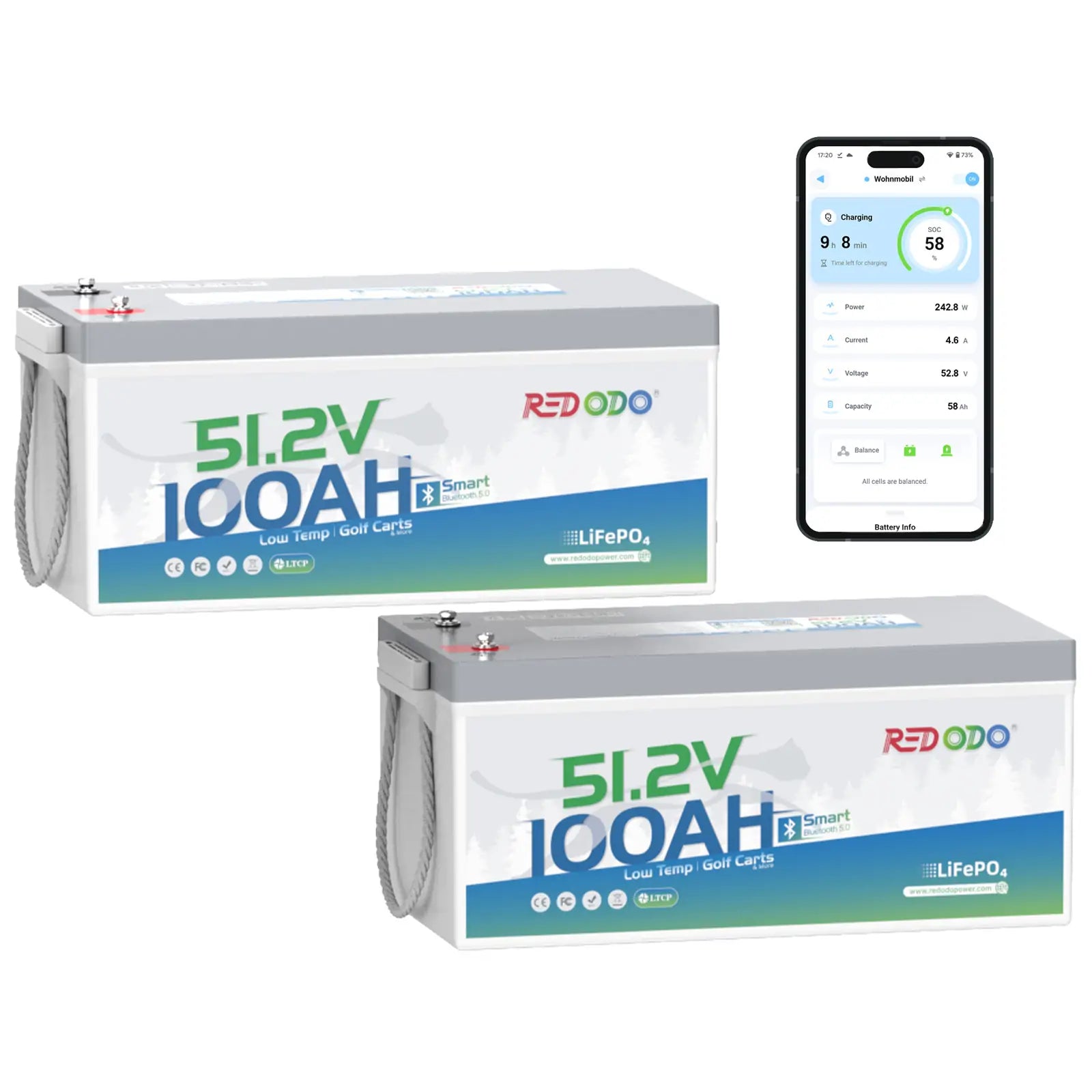 2 pack of Redodo 48v 100ah lithium battery lifepo4